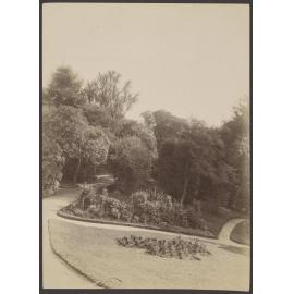 Garden paths [Manono]