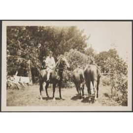 James Bertram with horses, 'Tauranga 1930'