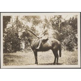 'Tauranga 1930'
