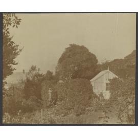 Greenhouse at Manono 