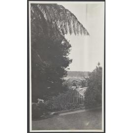 Greenhouse at Manono