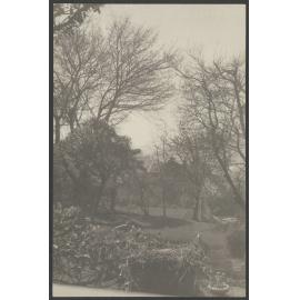 Front garden at Manono