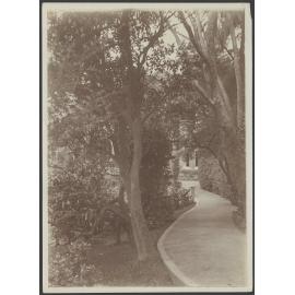 Driveway to Manono