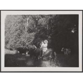 A man with two children on a cow