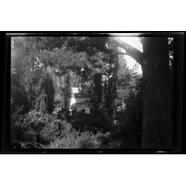 Thurlby Domain through trees