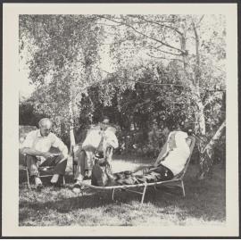 Charles Brasch, James Bertram and W.H. Oliver sitting under a tree