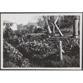 Garden with house in background