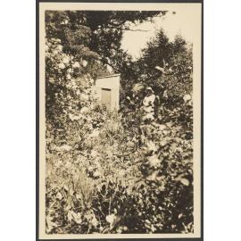 Woman in a garden by a shed