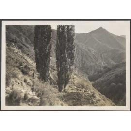 Rugged hill landscape