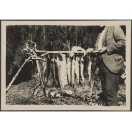 Man holding stick with dead fish