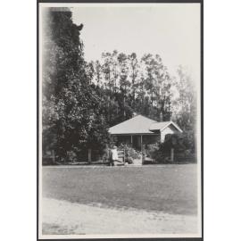 House among trees