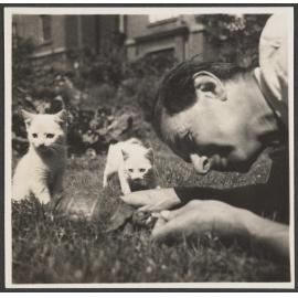 Man with tortoise and two kittens