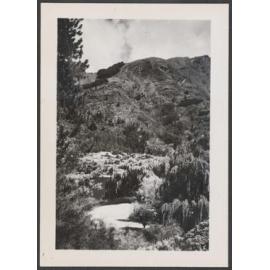 Mt Bowen from Gardens