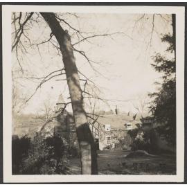 Building behind a tree