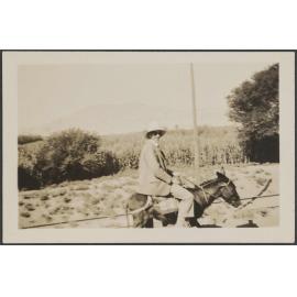 'Luxor, the West Bank (Sherman fecit)'