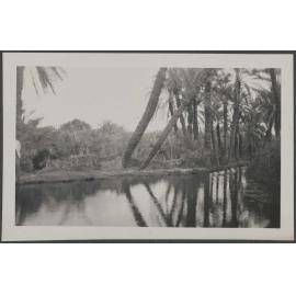 The Spring at Kharga