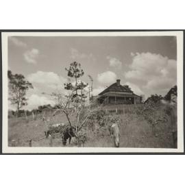 House at Taheke, Māori settlement