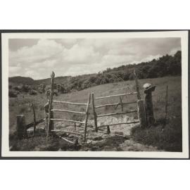  Taheke, Hokianga, farm gates - pegged wood