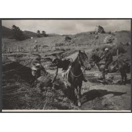 Workmen on horseback