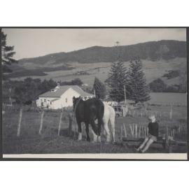 Young child with some horses