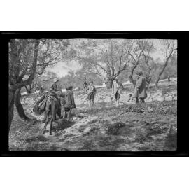 Group of people with laden mule [?] among trees