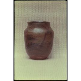 '97 Peter Stichbury Auk 26-11-57'