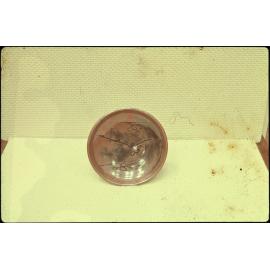 '28 Len Castle Auck 26-11-57'