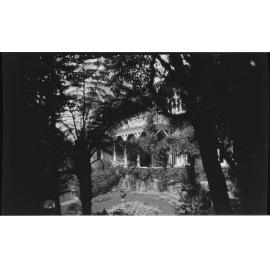 Manono, looking through ferns and trees to the garden and house