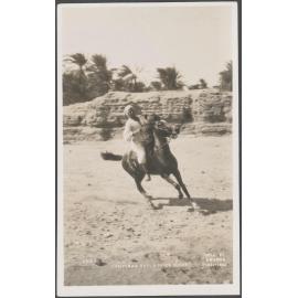 Second part of a postcard from Egypt, from Charles Brasch to family