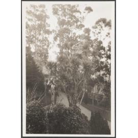 View of driveway from Fernhill