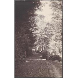 'Heaven's Gate, Reynold's Photo'