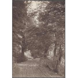 'Paradise Road, Reynold's Photo'