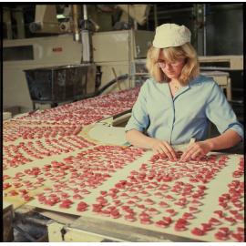 Cadbury production line for boxed chocolates