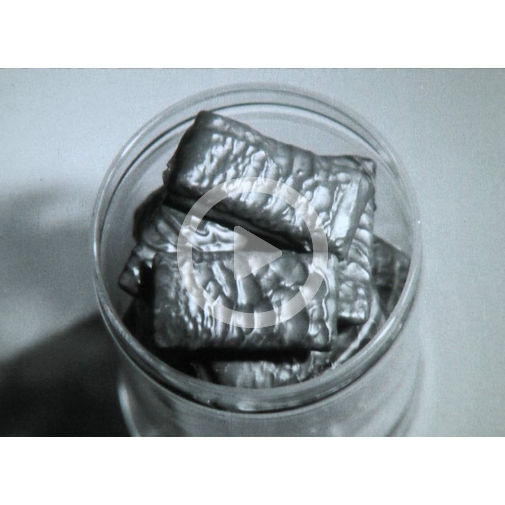 Cadbury & Hudson Chocolate Sultana Pasties ('It's all in the big blue H')