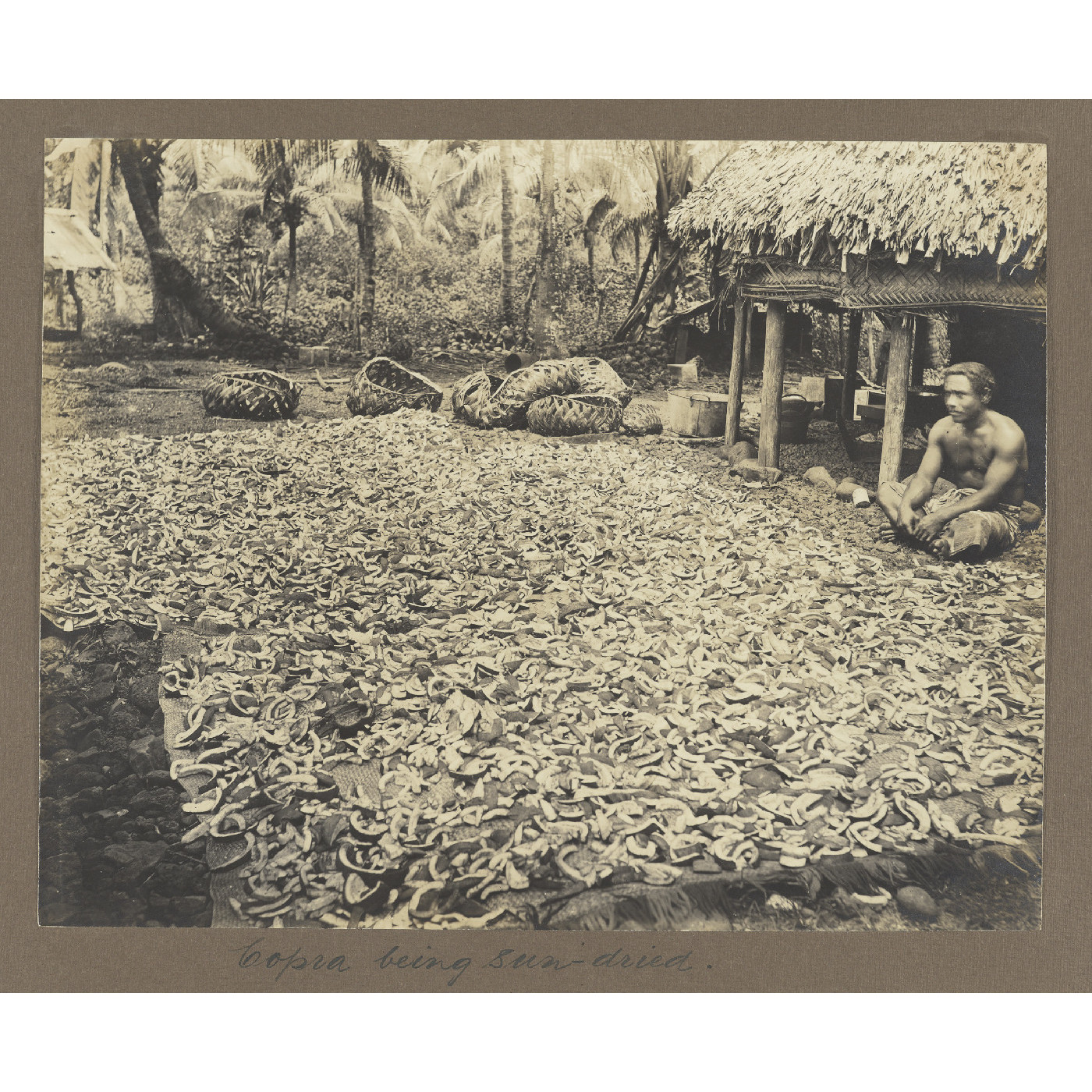 Copra being sun-dried