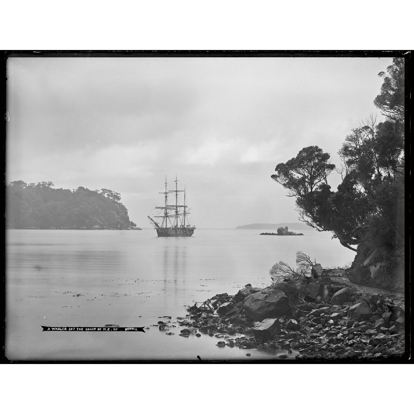 A whaler off the coast of N.Z.