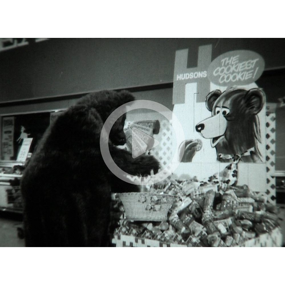 Hudsons Biscuits (with Cookie Bear)