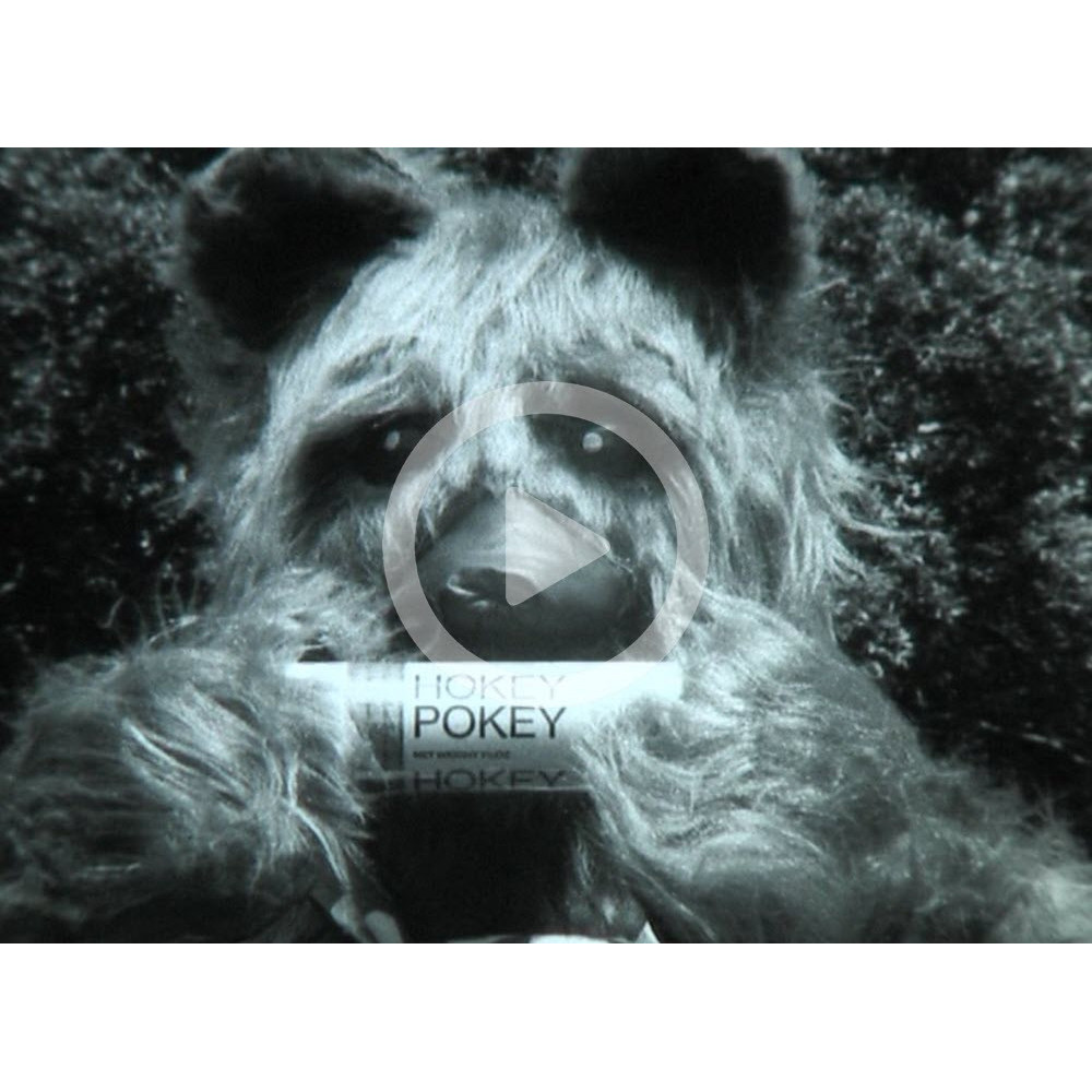 Hudsons Hokey Pokey Cookies (with Cookie Bear)