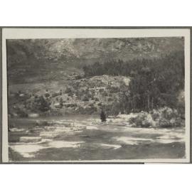 River surrounded by shrubs and trees