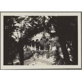 House, through ferns and trees