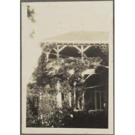 Vines on side of house