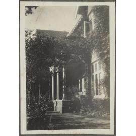 Porch with vines