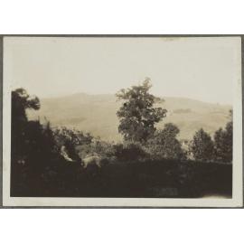 Unidentified woman and dog