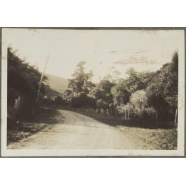 Dirt road among trees