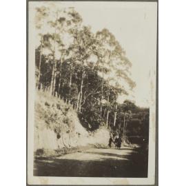 Three unidentified people walking down dirt road
