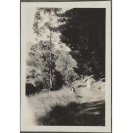 Unidentified woman sitting by path