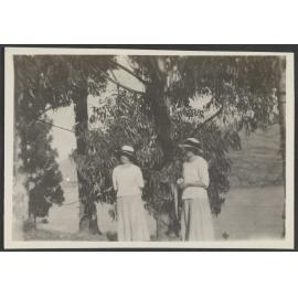 Two unidentified women stand by large trees
