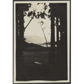 Overlooking lake and paddock at Minaret