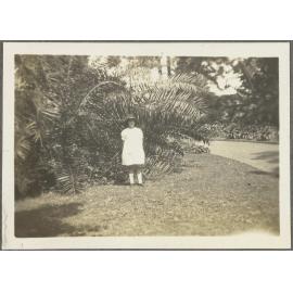 Unidentified girl standing in front of palm fronds