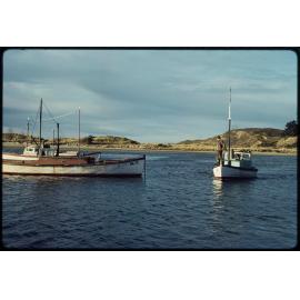 Boats at Karitane